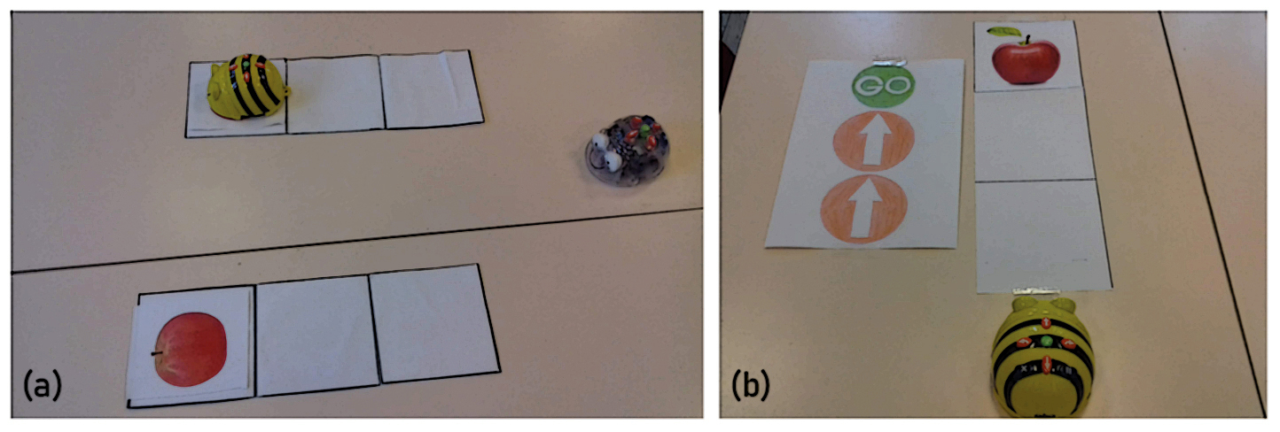 Figure 3: Matérialisation des pas de déplacements en cycle 1.