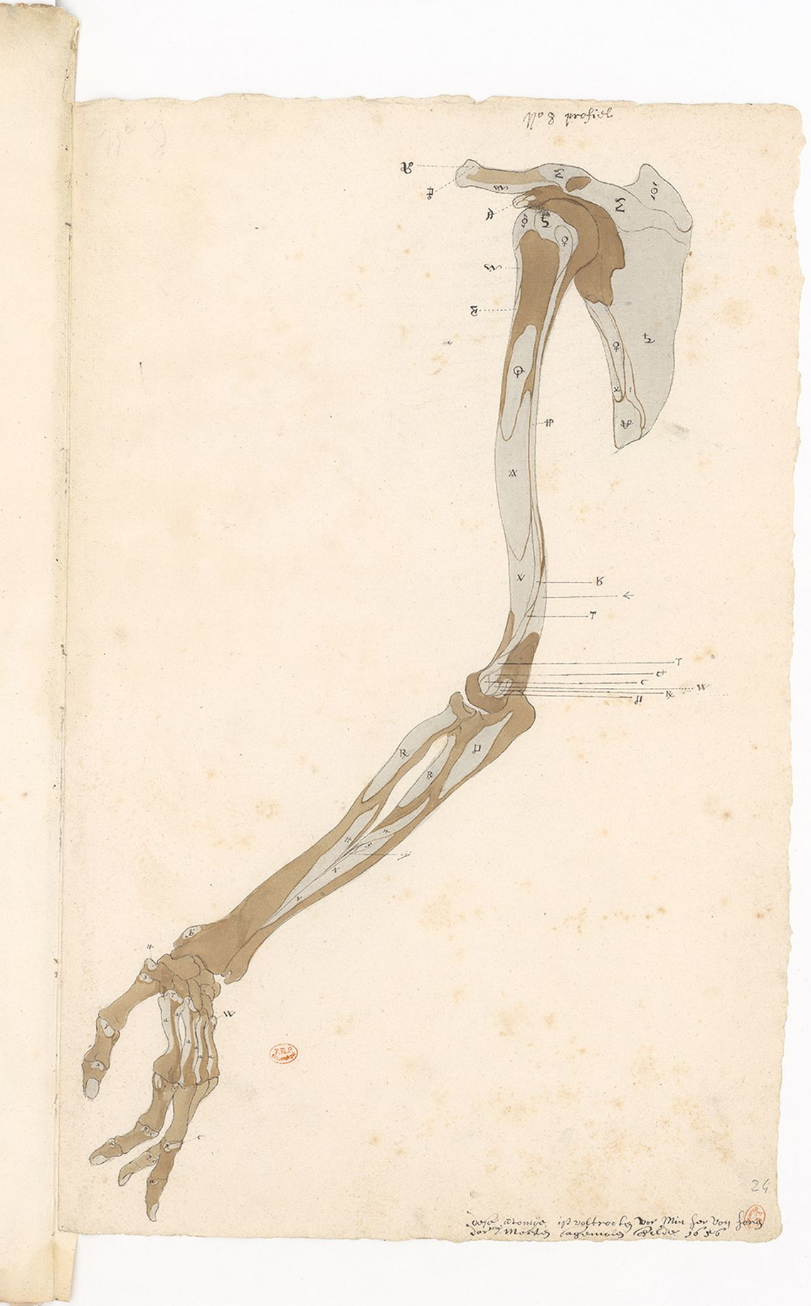Figure 13.