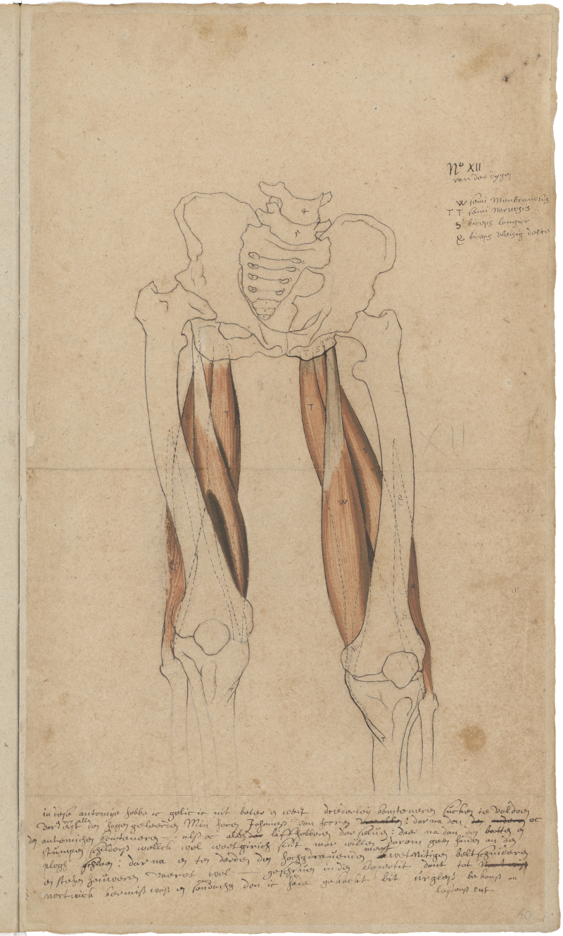 Figure 2.