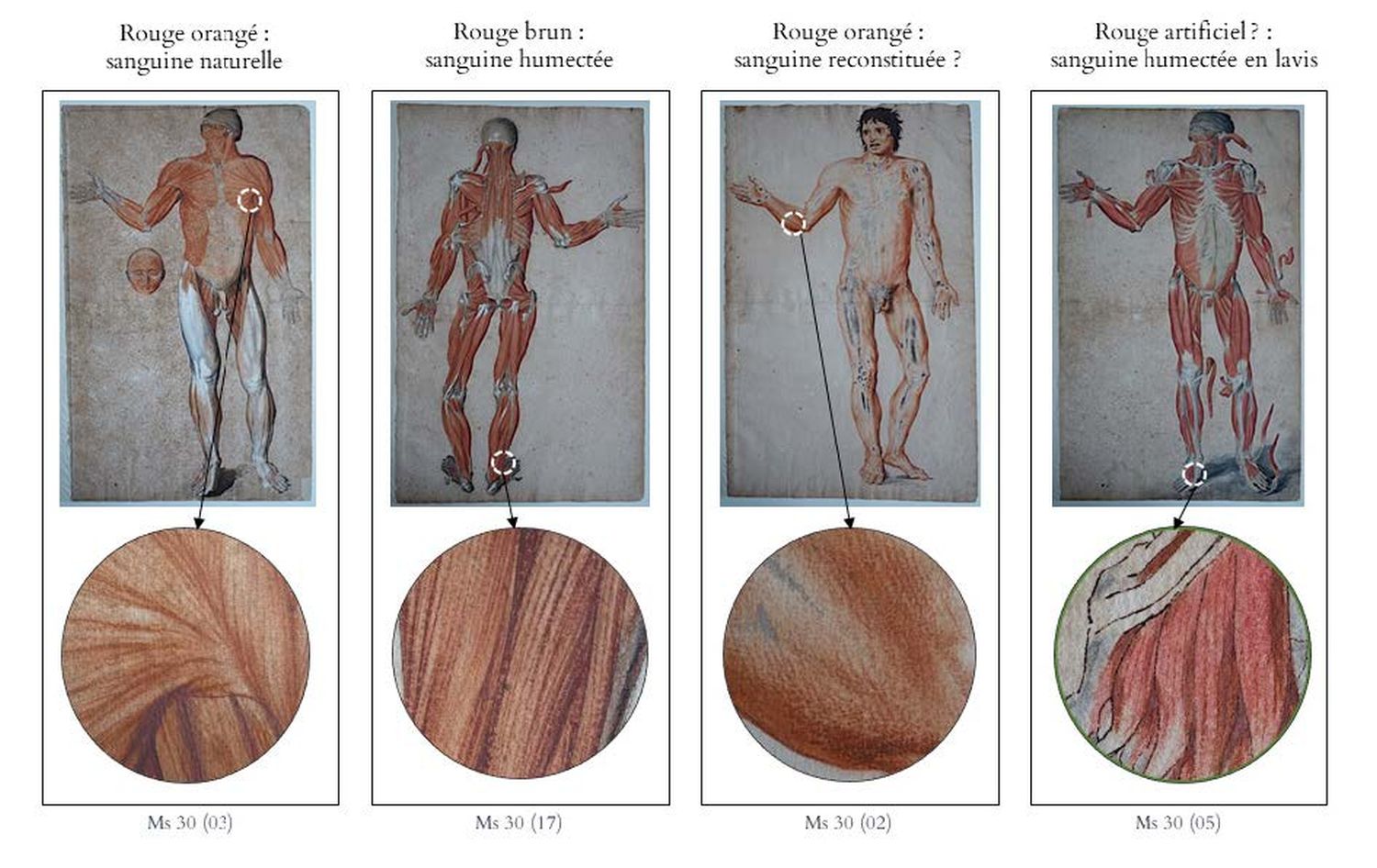 Figure 12.