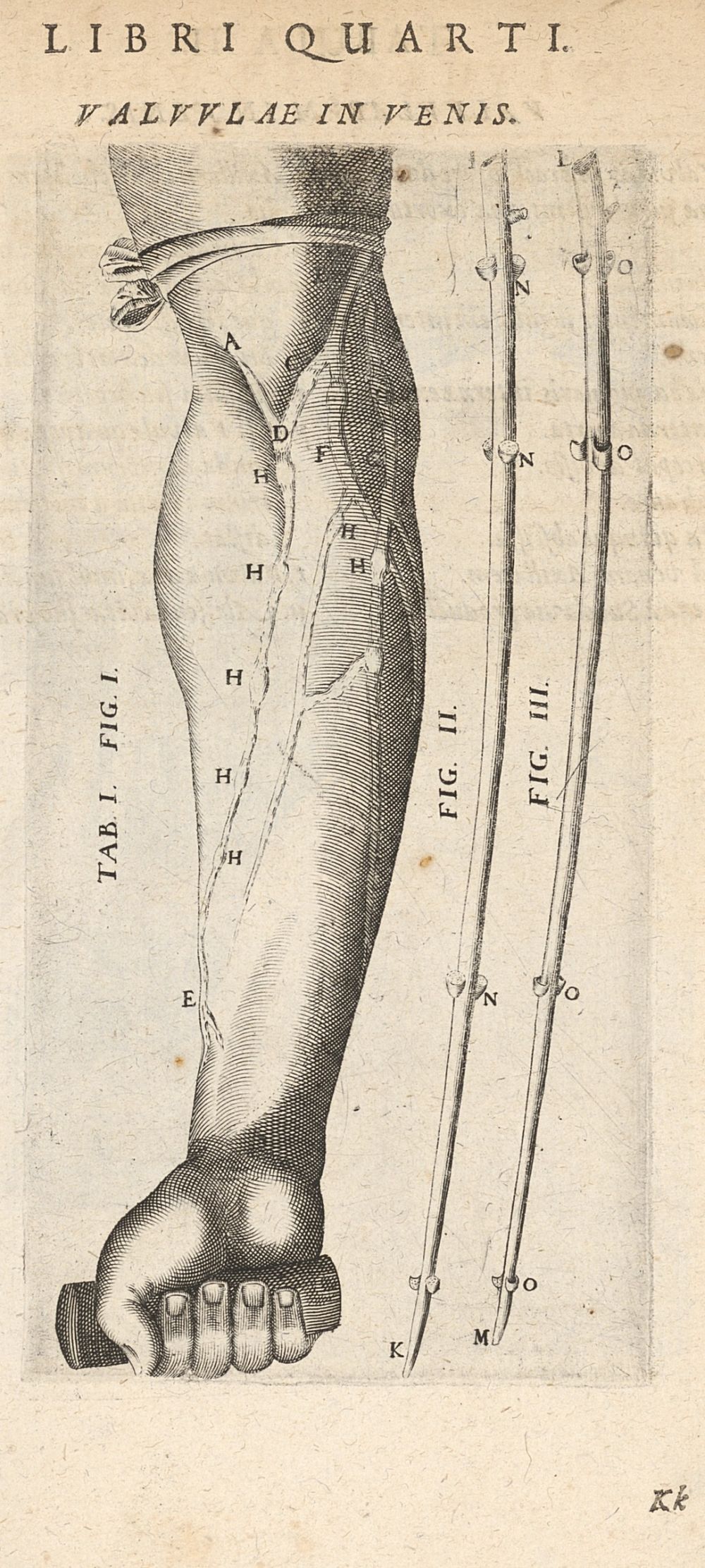 Figure 7.